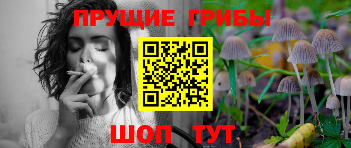 Галлюциногенные грибы мухоморы Топки