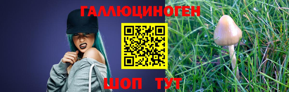 Галлюциногенные грибы Magic Shrooms  Вход с VPN  Топки  Галлюциногенные грибы Magic Shrooms 